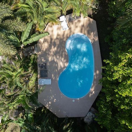 Sol Y Sombra Bed & Breakfast Bocas del Toro Exterior photo
