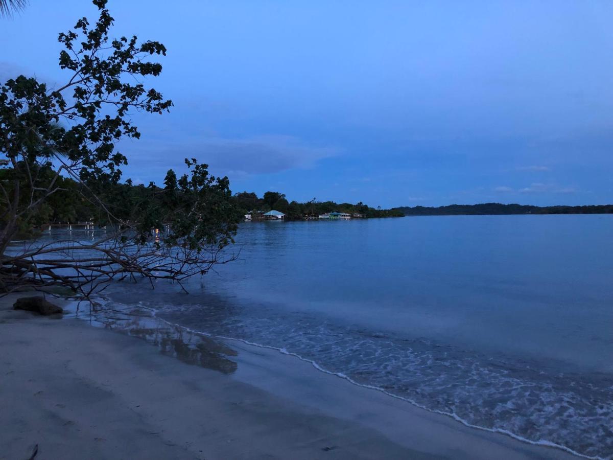 Sol Y Sombra Bed & Breakfast Bocas del Toro Exterior photo