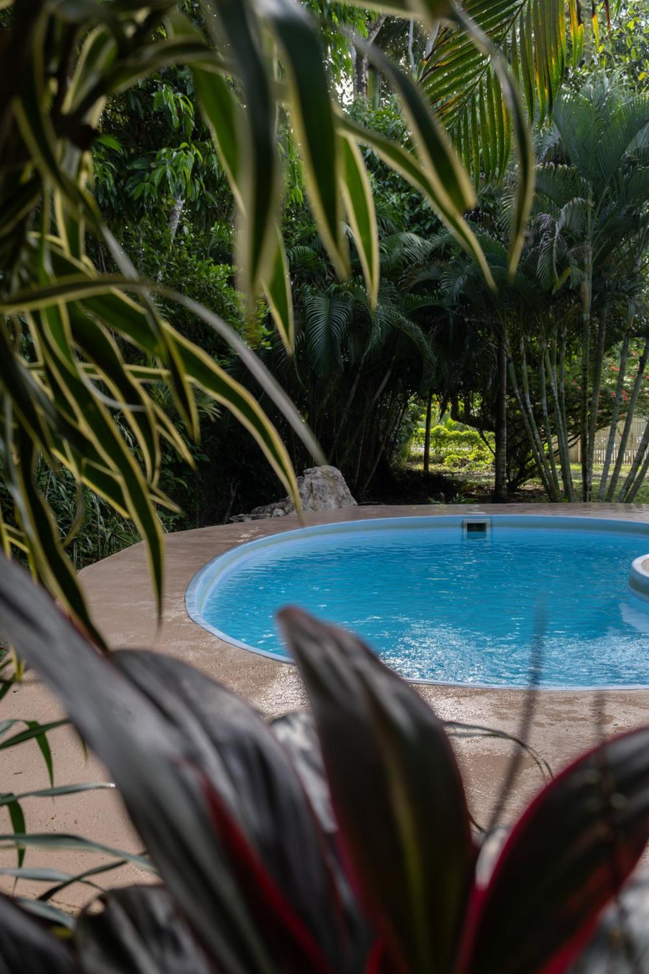 Sol Y Sombra Bed & Breakfast Bocas del Toro Exterior photo